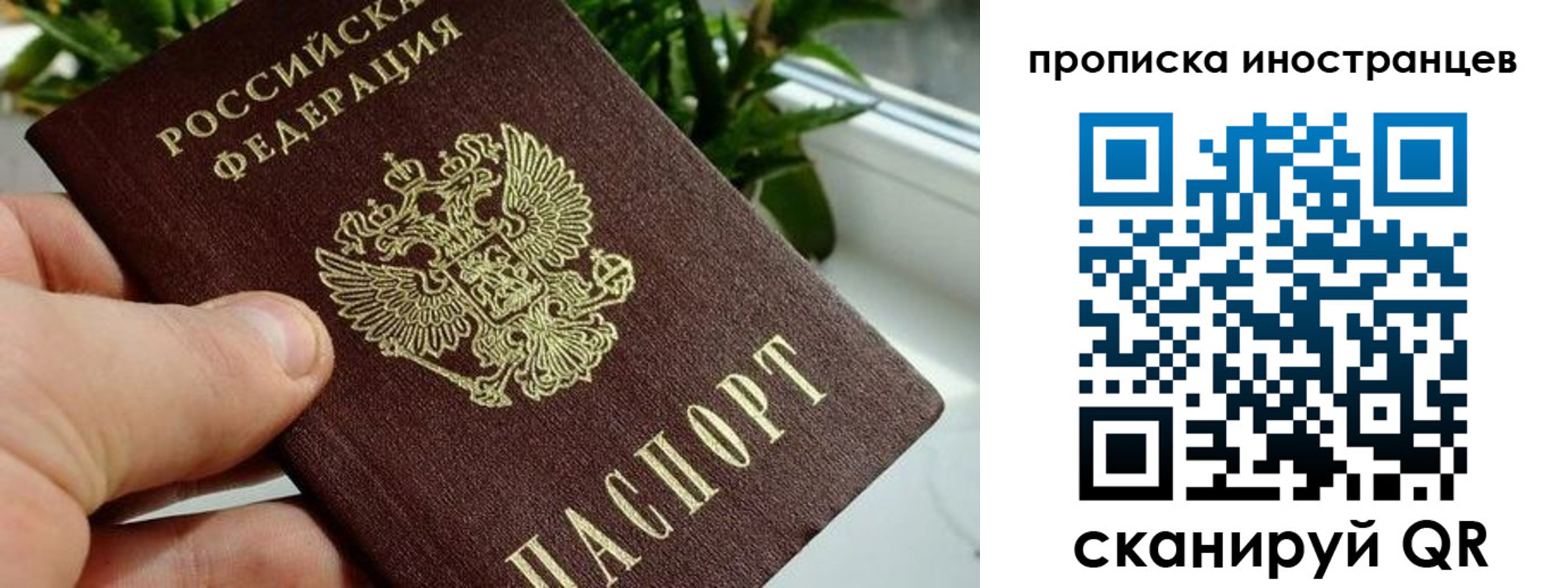 временная регистрация в Новочеркасске